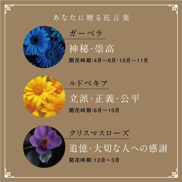 SINANO ʥ ԥ쥹 ե  ƥå  ǥ  ܾ