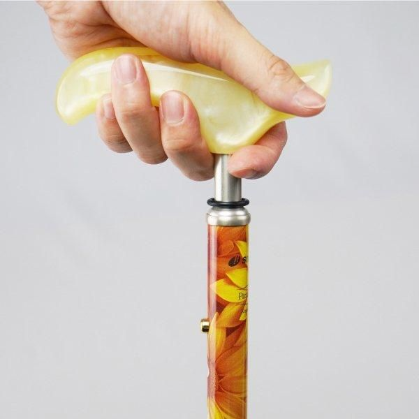 SINANO ʥ ԥ쥹 ե  ƥå  ǥ  ܾ