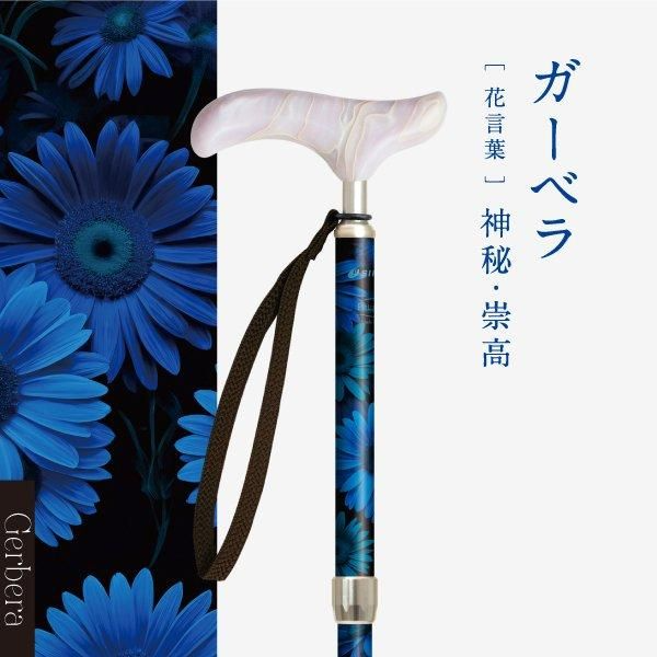 SINANO ʥ ԥ쥹 ե  ƥå  ǥ  ܾ