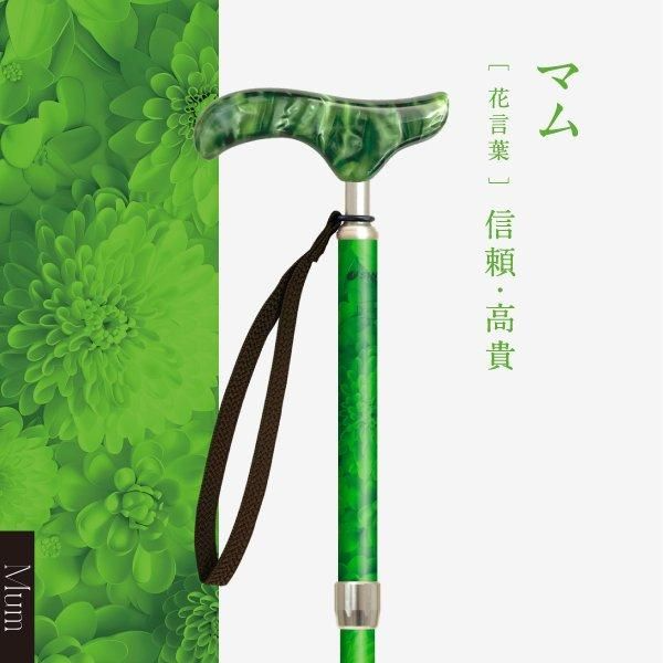 SINANO ʥ ԥ쥹 ե  ƥå  ǥ  ܾ