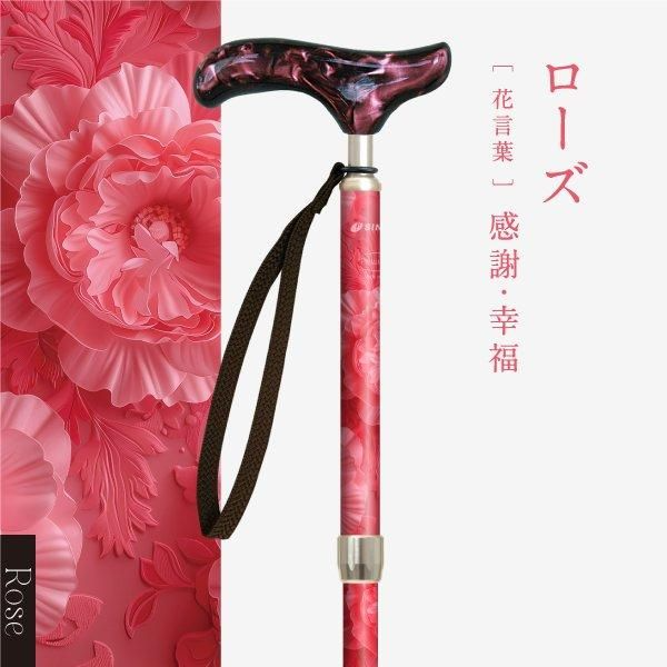 SINANO ʥ ԥ쥹 ե  ƥå  ǥ  ܾ