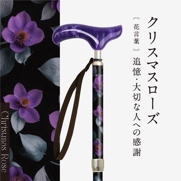 SINANO ʥ ԥ쥹 ե  ƥå  ǥ  ܾ