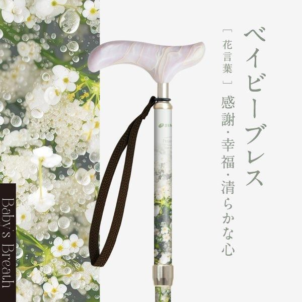 SINANO ʥ ԥ쥹 ե  ƥå  ǥ  ܾ