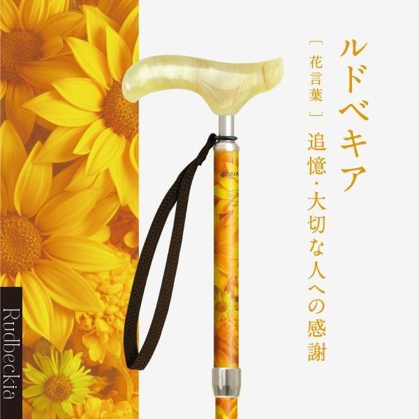 SINANO ʥ ԥ쥹 ե  ƥå  ǥ  ܾ