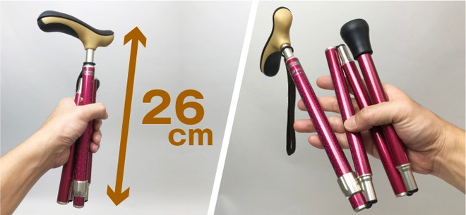 SINANO ʥ 륹ڡ ޤߡ 󥰥ƥå walkingstick 1ܾ󡡾 ƥå  ǥ