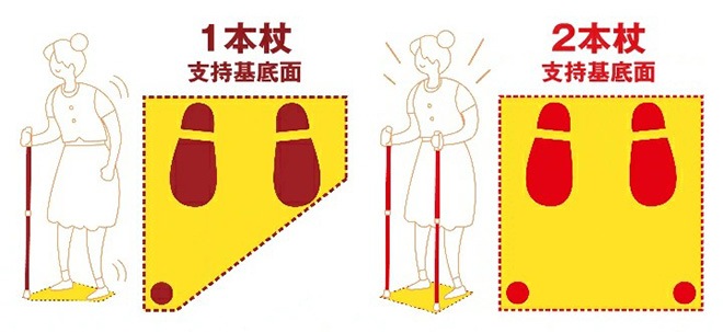 SINANO ʥ ӡ 륹 󤷤2ܾ 2  ƥå  ǥ