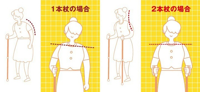 SINANO ʥ ӡ 륹 󤷤2ܾ 2  ƥå  ǥ