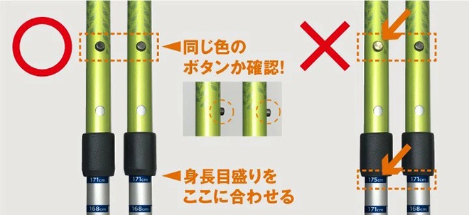 SINANO ʥ ӡ 륹 󤷤2ܾ 2  ƥå  ǥ