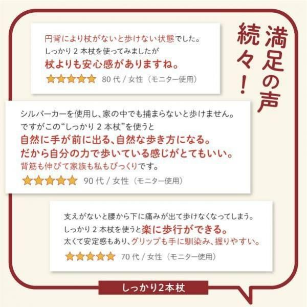 SINANO ʥ äꣲܾ  󥰥ݡ  ǥ ڶȳԥݡSG 