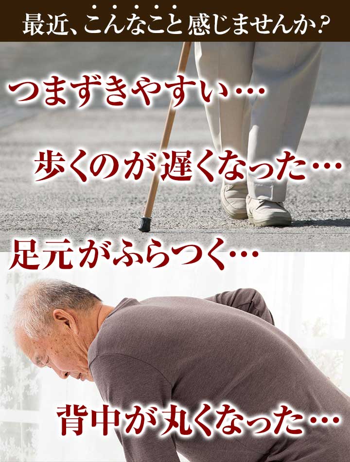 SINANO ʥ  դȤ󤷤2ܾ   Υǥå  ݡ륦