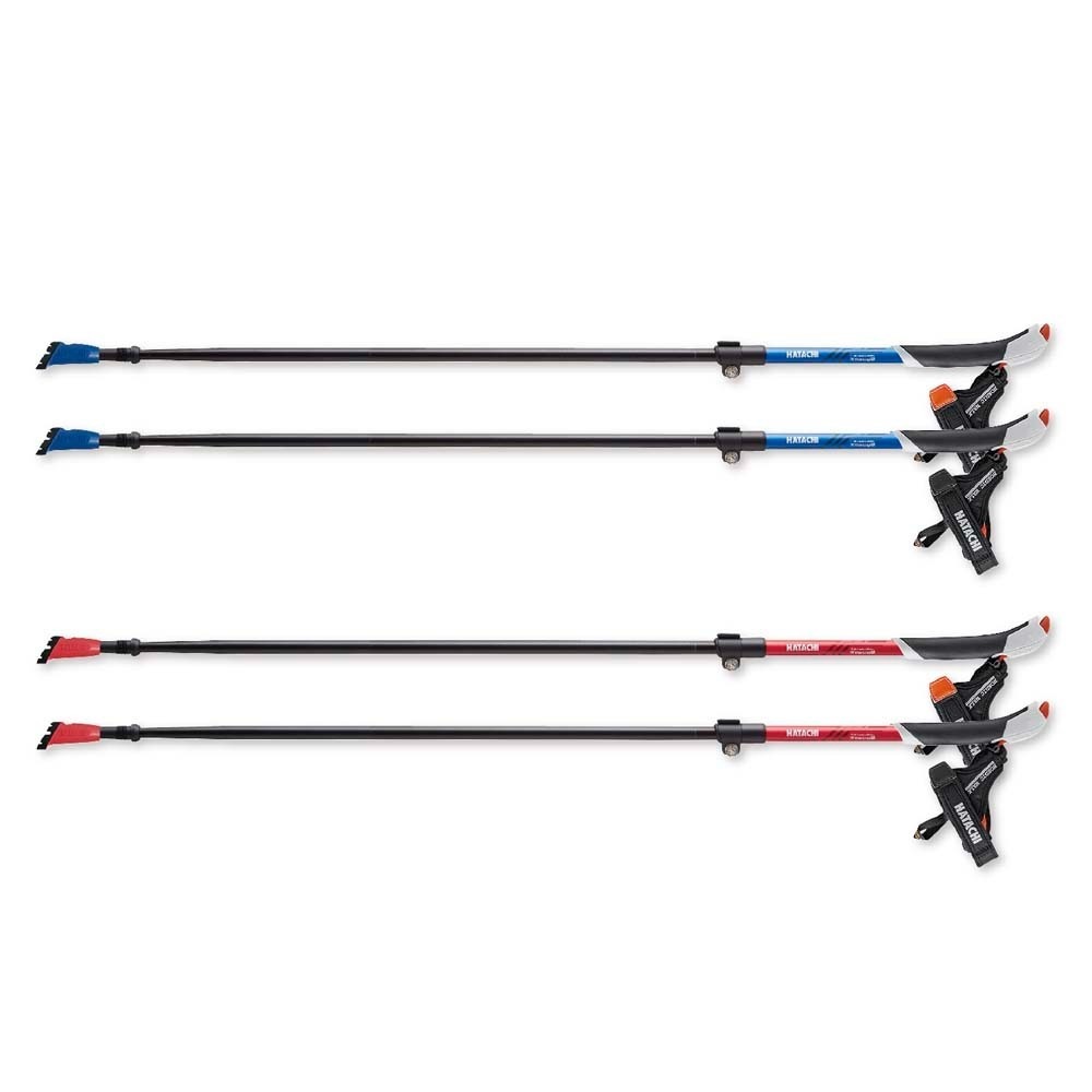 HATACHI �Υ�ǥ��å����������� �ݡ��� AGP�ĥ�����������2 WH1481 ��Ω���� �ϥ��� �Υ�ǥ��å��������� �ݡ��� �ݡ��륦�������� ���������󥰥ݡ��� ���������� SG���