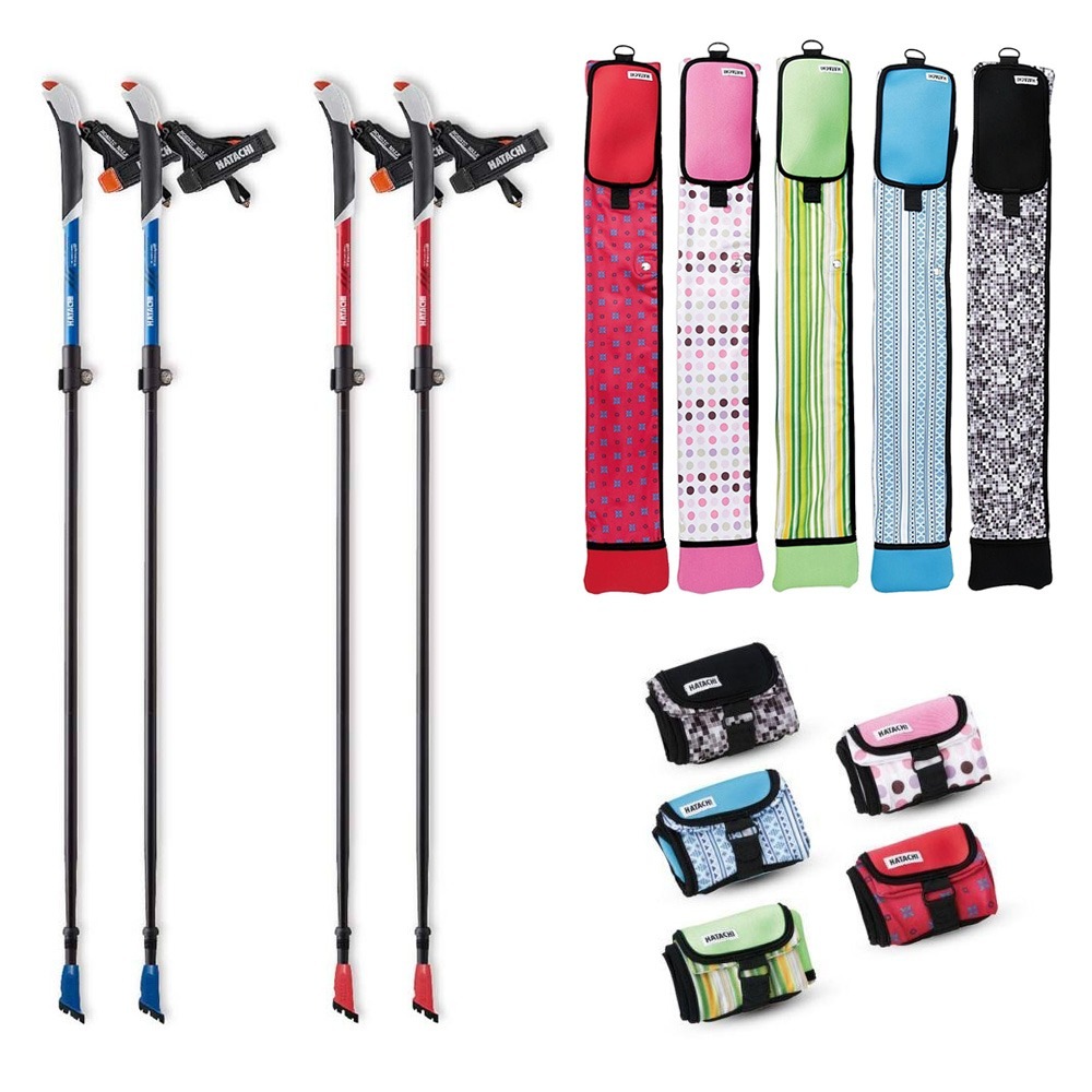 HATACHI �Υ�ǥ��å����������� �ݡ��� AGP�ĥ�����������2 WH1481 + �����ݡ��륱����  ���å� ��Ω���� �ϥ��� SG���