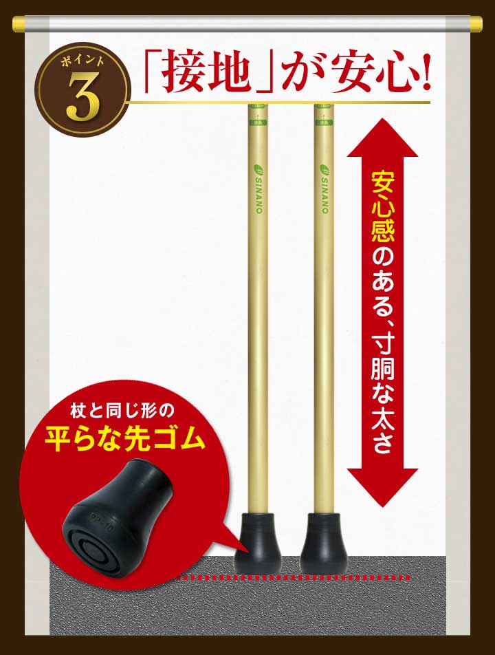 SINANO ʥ ӡ 󤷤2ܾ   Υǥå  ݡ륦