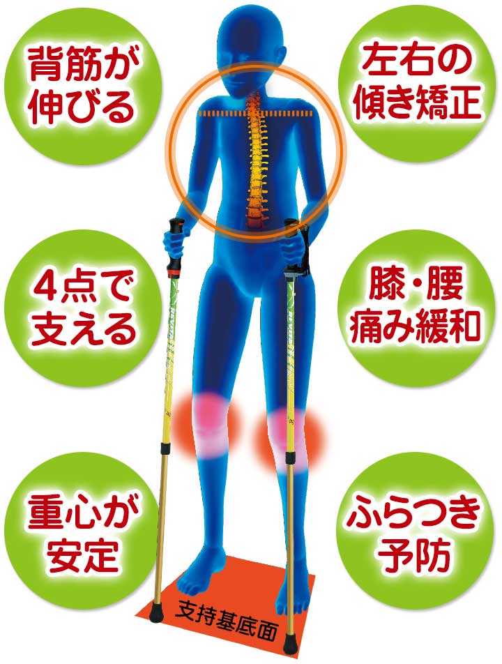 SINANO ʥ ӡ 󤷤2ܾ   Υǥå  ݡ륦