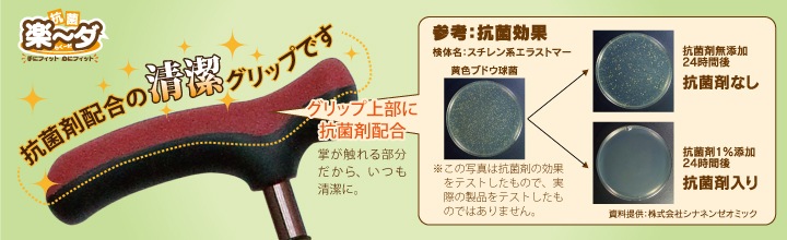 SINANO ʥ ݥåפ͡ĹĴ᥹ƥå ݳڡ ɥå/꡼  ƥå  ǥ