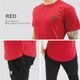 SP T-SHIRT - RED ���饦���