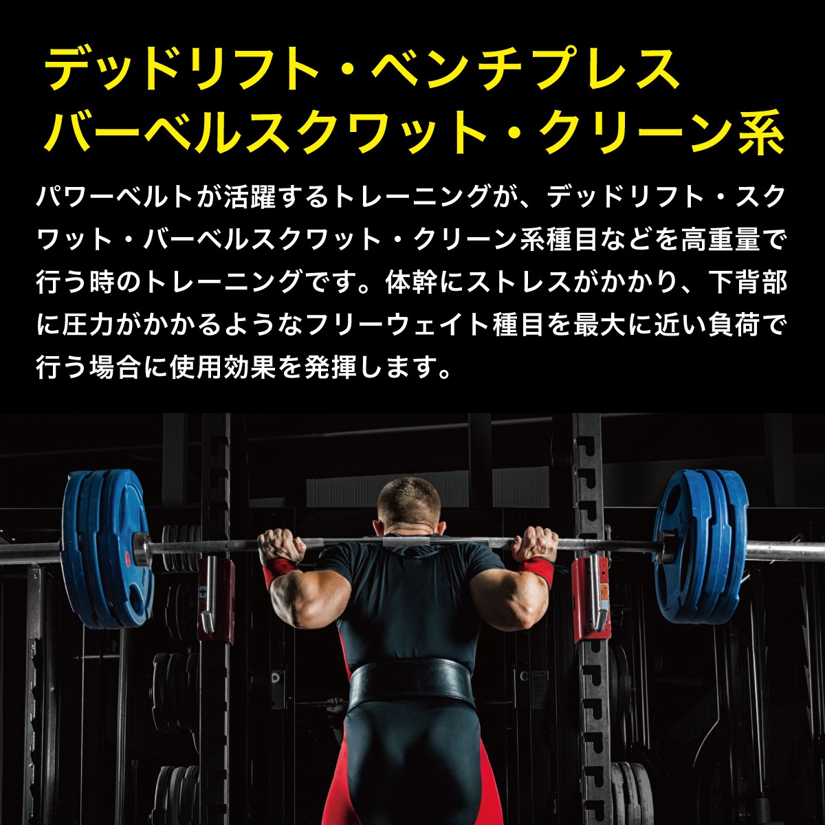 TRAINING BELT PRO MODEL