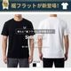 SP T-SHIRT - WHITE ���ե�å�
