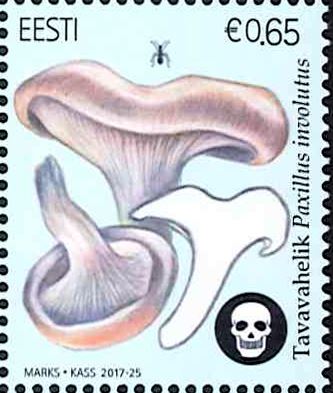 �����ȥ˥������Υ���1�˥ҥ��ϥ�����