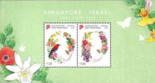 ���󥬥ݡ��롧�����饨��Ȥζ�Ʊȯ��M/S(1)  20190508