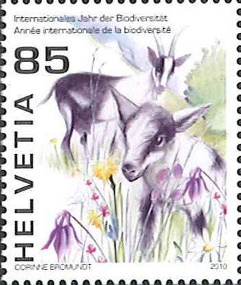 �������������ʪ¿����ǯ'10(1)��20100304