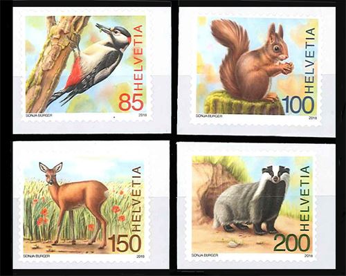 ������������ưʪ��4�ˡ�