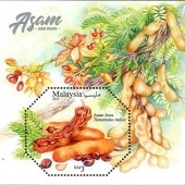 �ޥ졼����������ե롼��S/S(1)  20190619