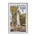 �����Х������衼���åѡ�11 ���� (1)