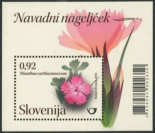 �����٥˥����ʥǥ���S/S(1)��20100324