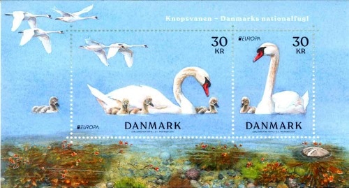 �ǥ�ޡ������衼���å�2019-��ĻS/S(1)