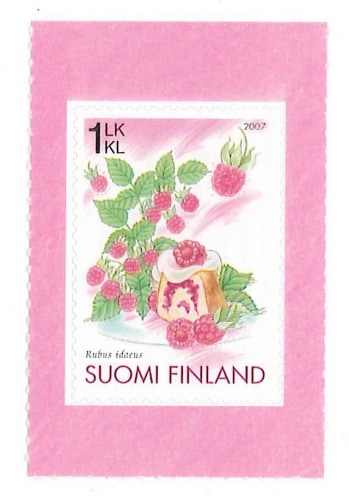 �ե�����ɡ��饺�٥꡼������ո�(1)