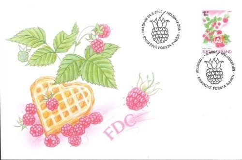 �ե�����ɡ��饺�٥꡼FDC(1)