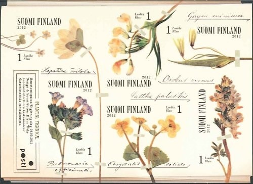 ��SALE�ۥե�����ɡ��դβ�M/S(1)