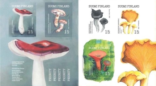 SALEۥեɡѥΥ ڼĢ(1)