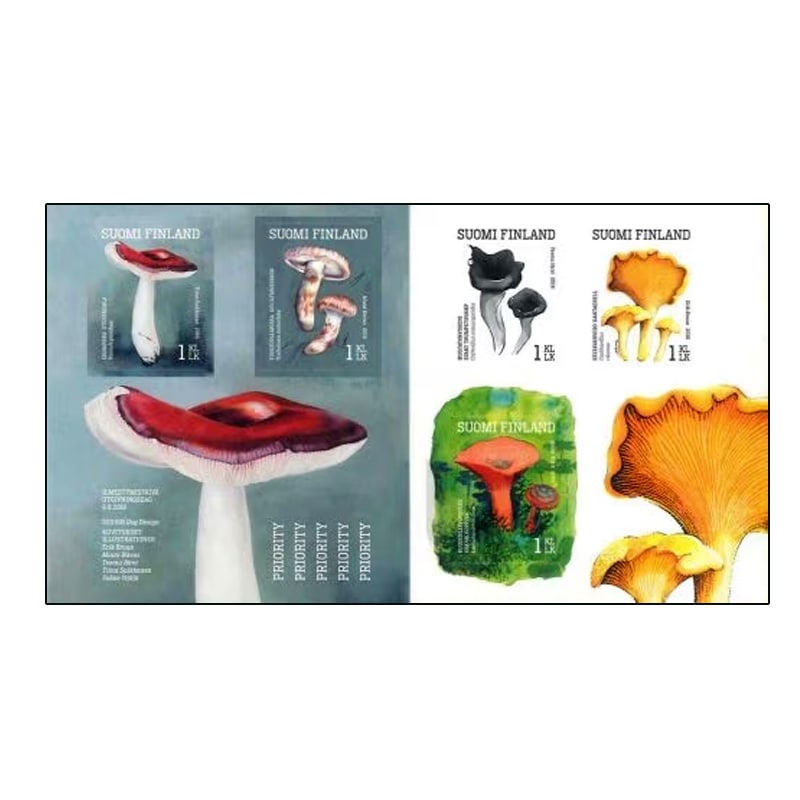��SALE�ۥե�����ɡ����ѥ��Υ� �ڼ�Ģ(1)