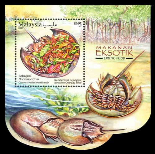 �ޥ졼��������S/S(1)