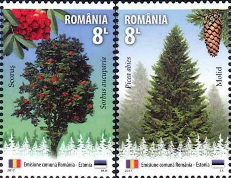 �롼�ޥ˥������ڡ�2�˥����ȥ˥���Ʊȯ�ԡ�