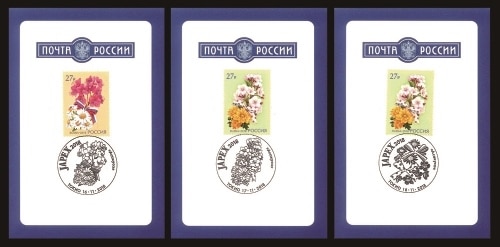 JAPEX2018�������������å�(3)