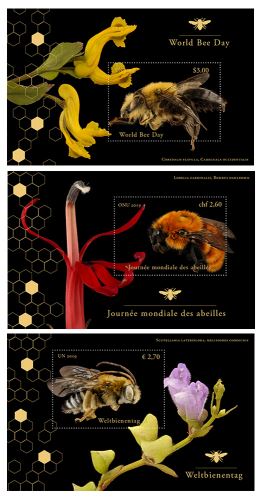 ��Ϣ�������ߥĥХ�����S/S(3)