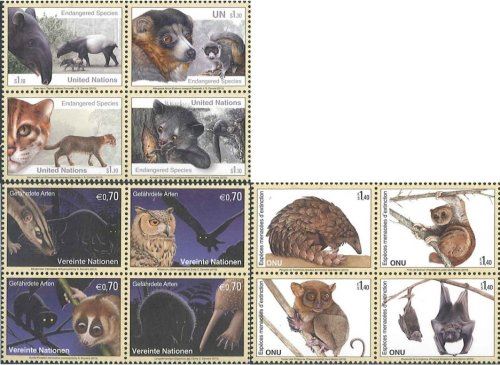 ϢǤΤưʪ13(12)ķ320131010