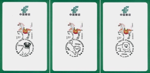 ������ץ��祦2018��񲡰����å�(3)