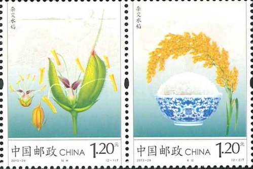 ��񡧥ϥ��֥�å���(2)��Ϣ��