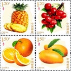 ��񡧲�ʪ3��(4)�ķ�