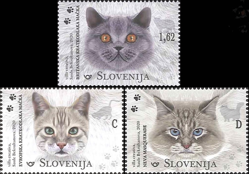 �����٥˥����ͥ���3��