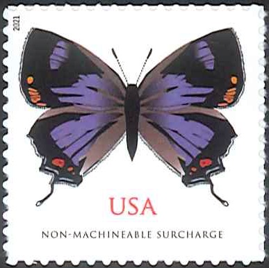 ����ꥫ��ĳ��1��