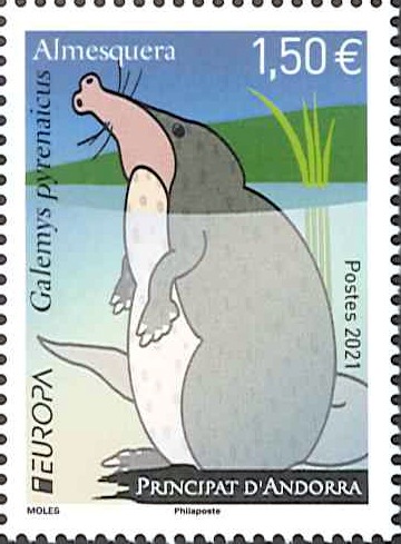 ����ɥ顧�衼���å�2021��1��