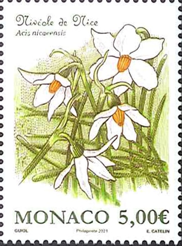 ��ʥ�����-���Ρ��ե졼����1��