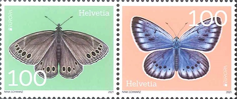 ���������衼���å�2021��2�˲�Ϣ��