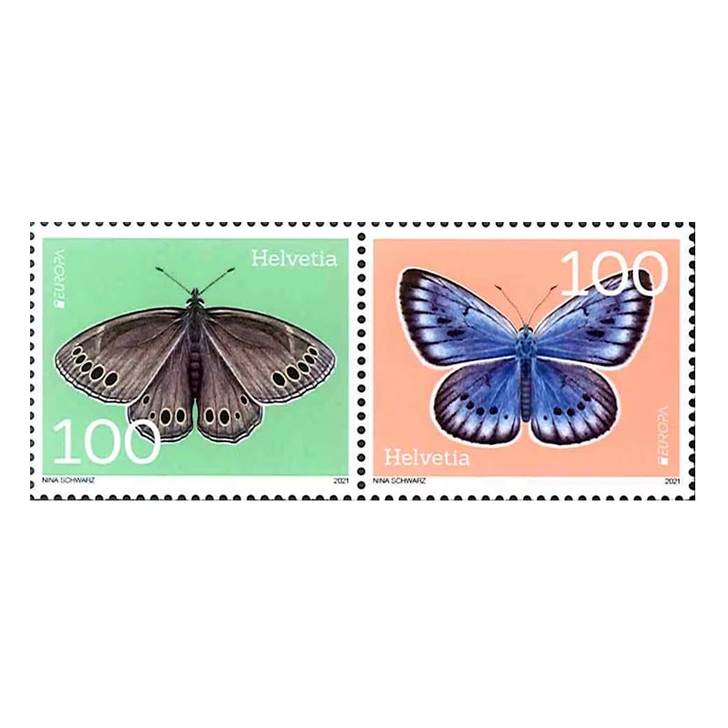 ���������衼���å�2021��2�˲�Ϣ��