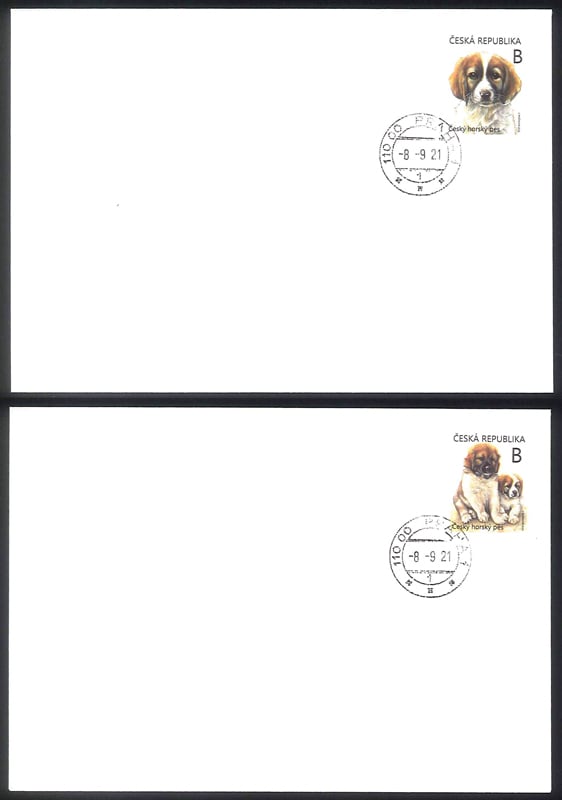 ���������Ҹ�FDC(2)